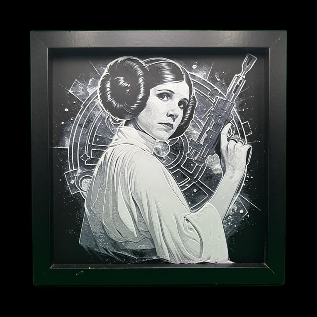 Princess Leia - Star Wars Printed Fan Art