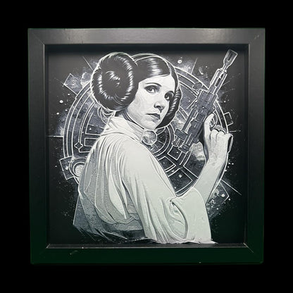 Princess Leia - Star Wars Printed Fan Art